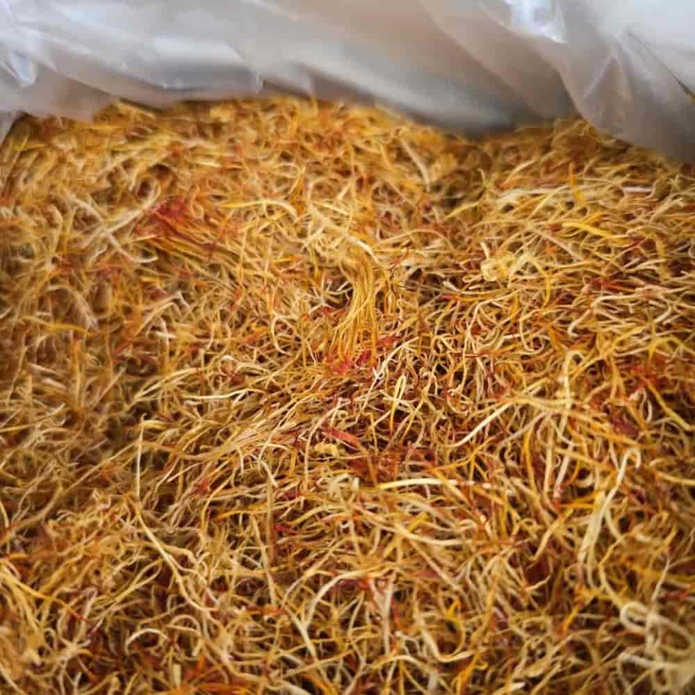 زعفران سفید (ریشه زعفران)