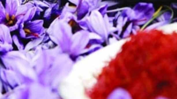 تولید و فروش زعفران اصیل گناباد زعفران بیدخت