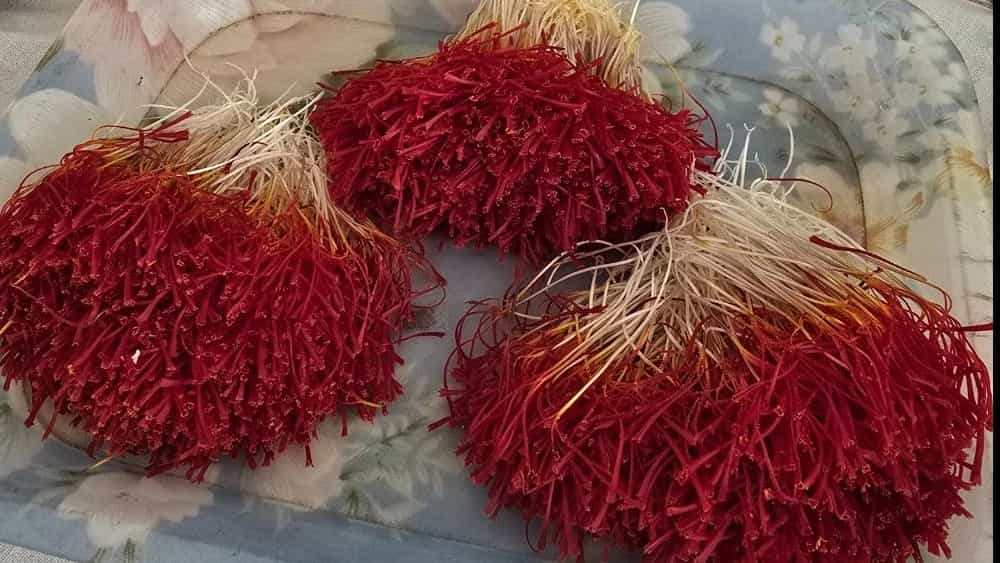 زعفران دختر پیچ