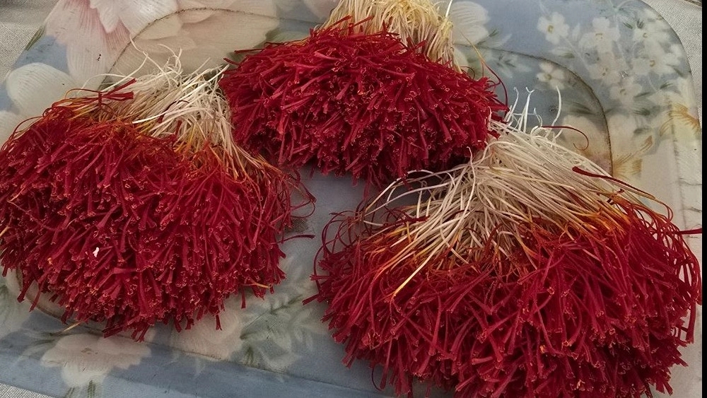 زعفران دختر پیچ زعفران دختر پیچ